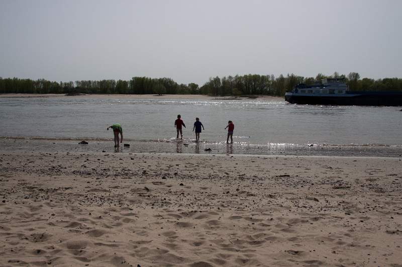 IMG_4117_1.jpg