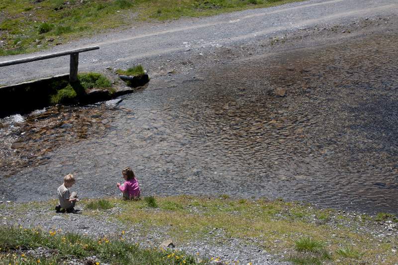 IMG_4384_1.jpg