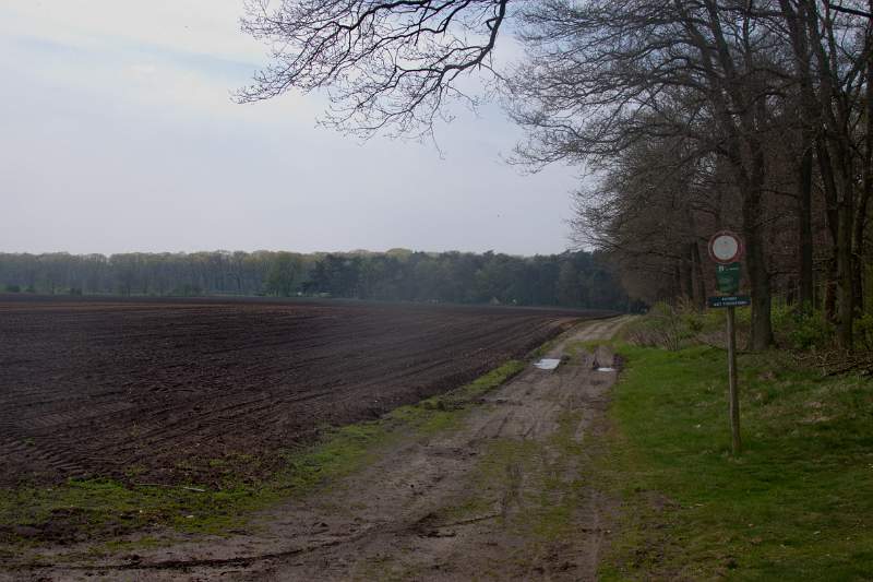 IMG_7204_1.jpg